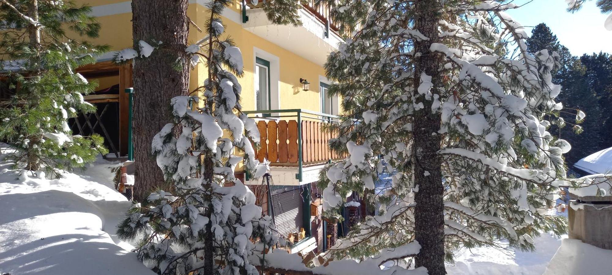 Apartament Almhaus Bluemel Turracher Hohe Zewnętrze zdjęcie