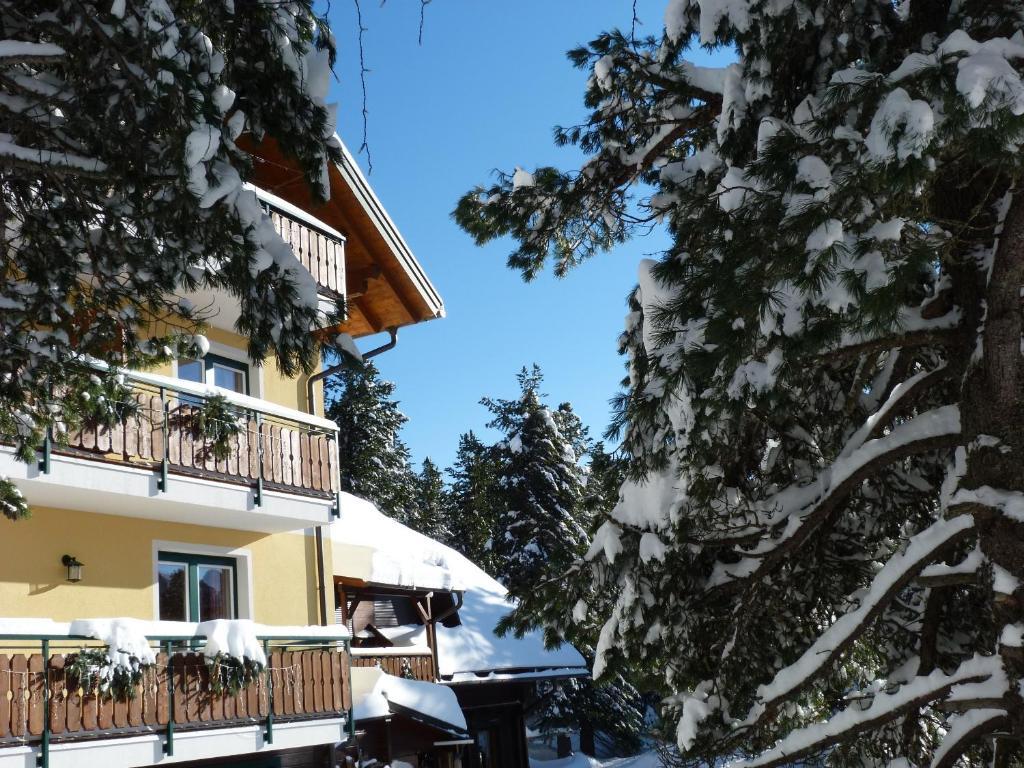 Apartament Almhaus Blumel Turracher Hohe Zewnętrze zdjęcie